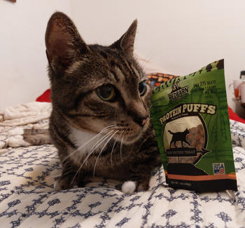 Redbarn Pet Products Protein Puffs Salmon Flavor Review