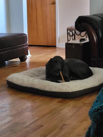 Redbarn Pet Products Beef Strap Review