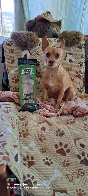 Redbarn Pet Products Braided Bully Stick Review