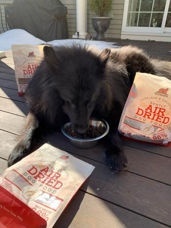 Redbarn Pet Products Air Dried Beef Recipe Dog Food Review
