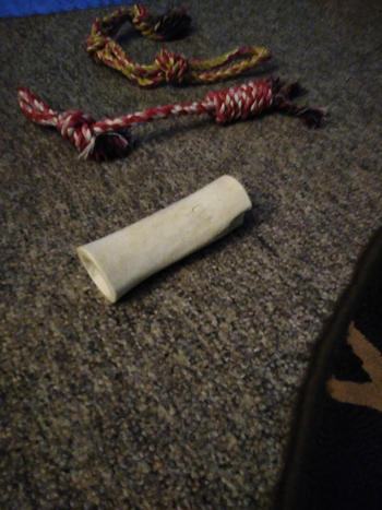 Redbarn Pet Products White Bone Review