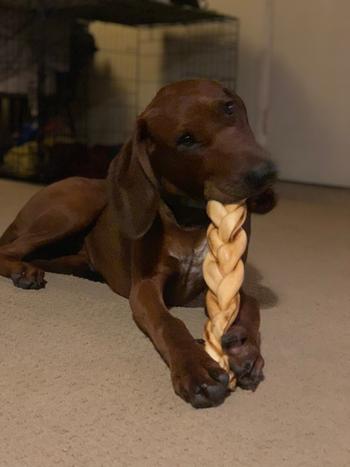 Redbarn Pet Products Collagen Braid Review
