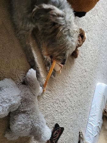 Redbarn Pet Products Collagen Stick Review