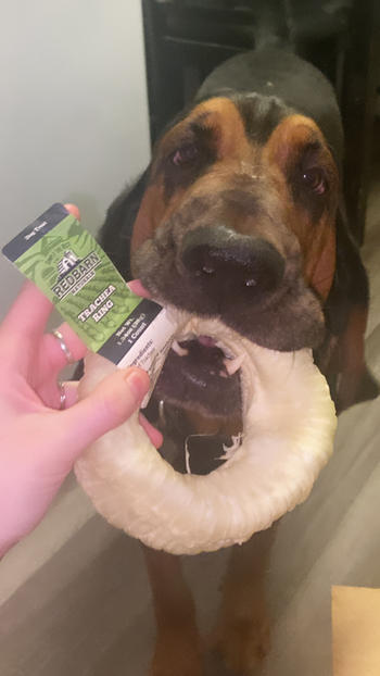 Redbarn Pet Products Trachea Ring Review