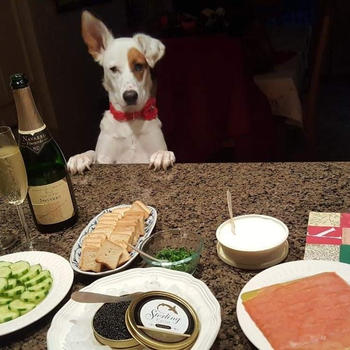 Sterling Caviar Supreme Caviar Review