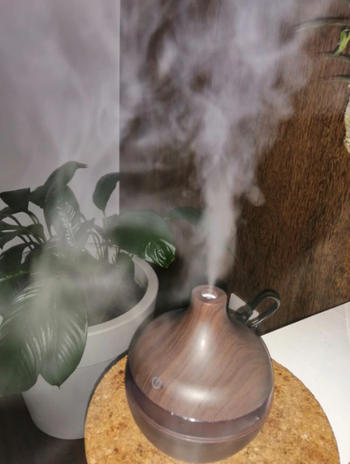 Luxurie Decor Zen Inspired Wood-Grain Humidifier Review