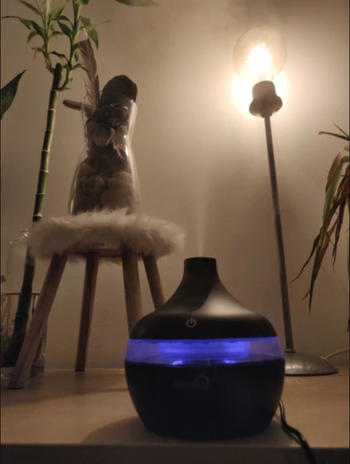 Luxurie Decor Zen Inspired Wood-Grain Humidifier Review