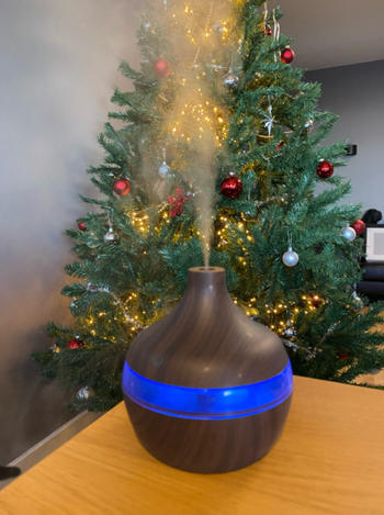Luxurie Decor Zen Inspired Wood-Grain Humidifier Review
