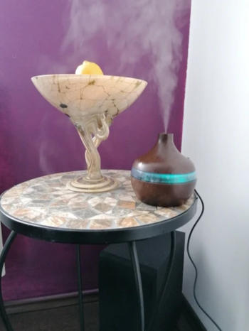 Luxurie Decor Zen Inspired Wood-Grain Humidifier Review