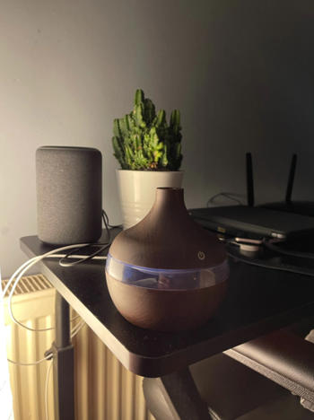 Luxurie Decor Zen Inspired Wood-Grain Humidifier Review