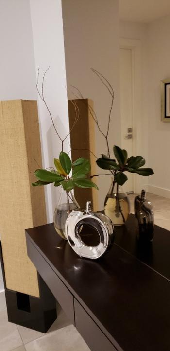 Luxurie Decor Apple Sculpture Review