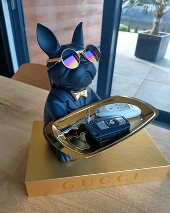 Luxurie Decor Canine Concierge Review