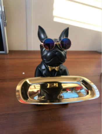Luxurie Decor Canine Concierge Review