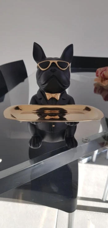 Luxurie Decor Canine Concierge Review