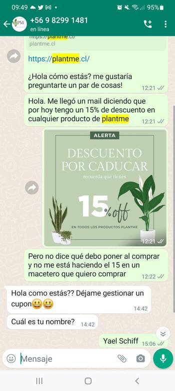 PlantMe Chile Bill L (Ficus Benjamina) Review