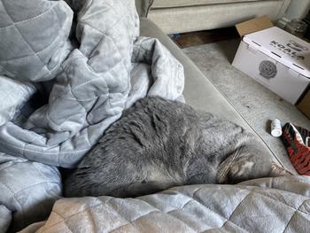 Kalmkoala Therapeutic Weighted Blanket Set Review