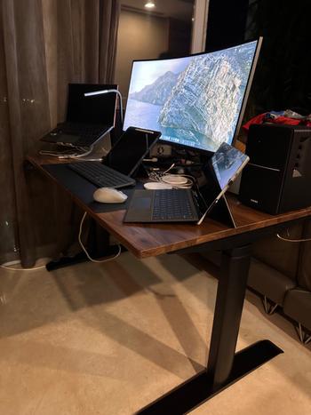 Omnidesk Ascent Wildwood Review