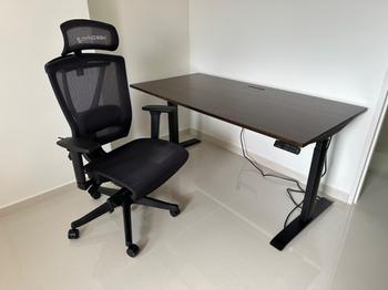 Omnidesk Ascent Wildwood Review