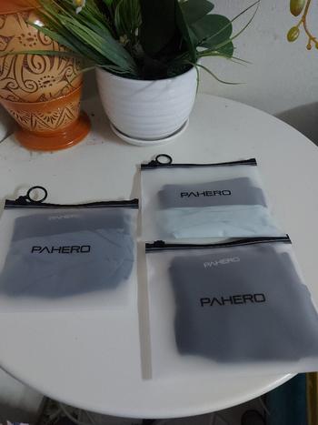 Pahero Pahero Seamless Ice Silk Breathable Quick Dry Comfortable Graphene Anti Bacterial Underwear Sexy Brief Review