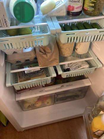 Newmart Store Australia Expandable Refrigerator Organizer Review