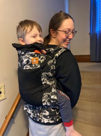 Little Zen One That 70's Tula Toddler Carrier Review