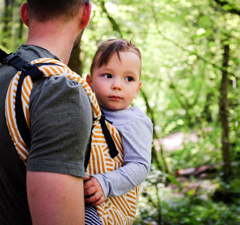 Little Zen One Tula Toddler Carrier Royal Review