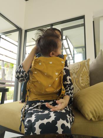 Little Zen One Play Tula Standard Baby Carrier Review