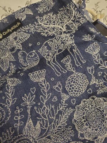 Little Zen One Magic Forest Alamak DidyKlick by Didymos Review