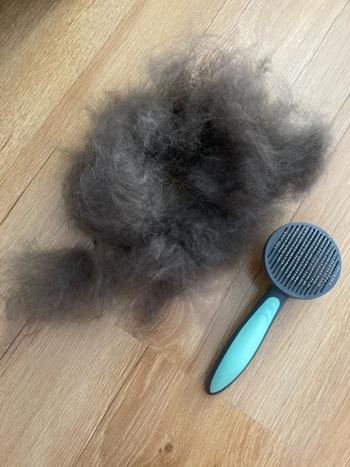 Shoprixa The KittyFur™ Self-Cleaning Slicker Brush Review