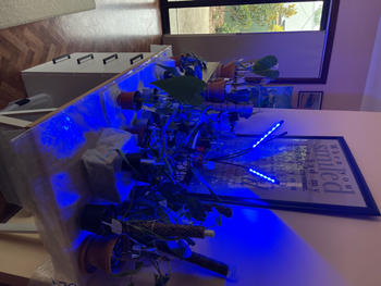 Urban Plant Growers Red/Blue LED Grow Light Review