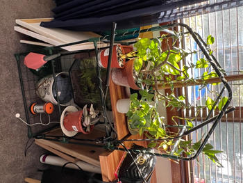 Urban Plant Growers Red/Blue LED Grow Light Review