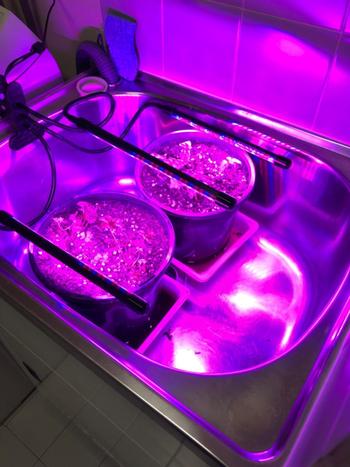 Urban Plant Growers Red/Blue LED Grow Light Review