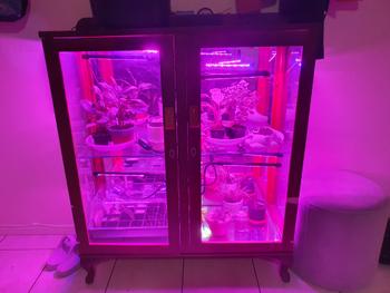 Urban Plant Growers Red/Blue LED Grow Light Review