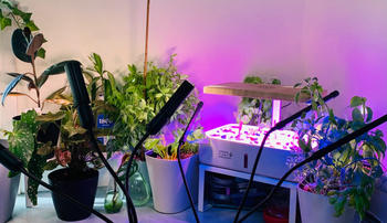 Urban Plant Growers Red/Blue LED Grow Light Review