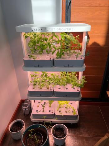 Urban Plant Growers The Family Farm Review