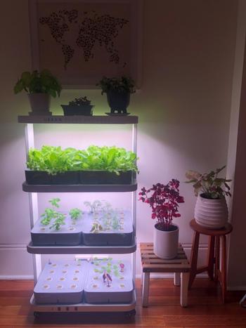 Urban Plant Growers The Family Farm Review