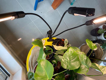 Urban Plant Growers HydroGlow LED Grow Light Review