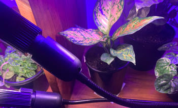 Urban Plant Growers HydroGlow LED Grow Light Review