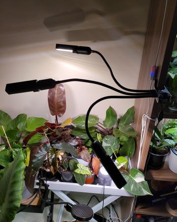 Urban Plant Growers HydroGlow LED Grow Light Review