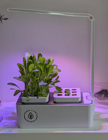 Urban Plant Growers Indoor Smart Garden Combo Review