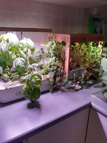 Urban Plant Growers EcoKitchen Combo Review