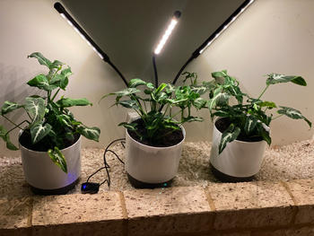 Urban Plant Growers Full Spectrum LED Grow Light Review