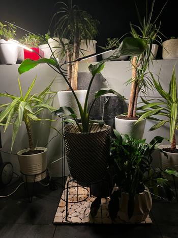 Urban Plant Growers Full Spectrum LED Grow Light Review