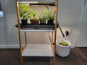 Urban Plant Growers Full Spectrum LED Grow Light Review