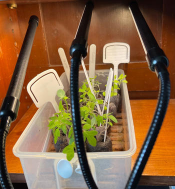 Urban Plant Growers Full Spectrum LED Grow Light Review