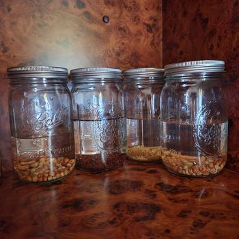 Urban Plant Growers Speedy Sprouters Review