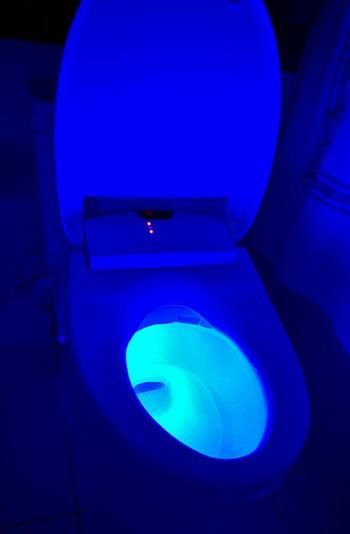US Bath Store Brondell Swash 1400 19.55 Biscuit Round Electric Luxury Bidet Toilet Seat Review