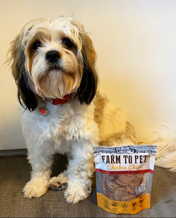 Farm to Pet Chicken Chips Healthy Dog Treats Review
