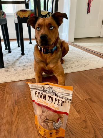 Farm to Pet Chicken Chips Review