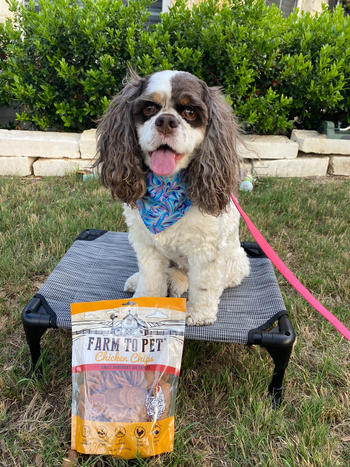Farm to Pet Chicken Chips Healthy Dog Treats Review